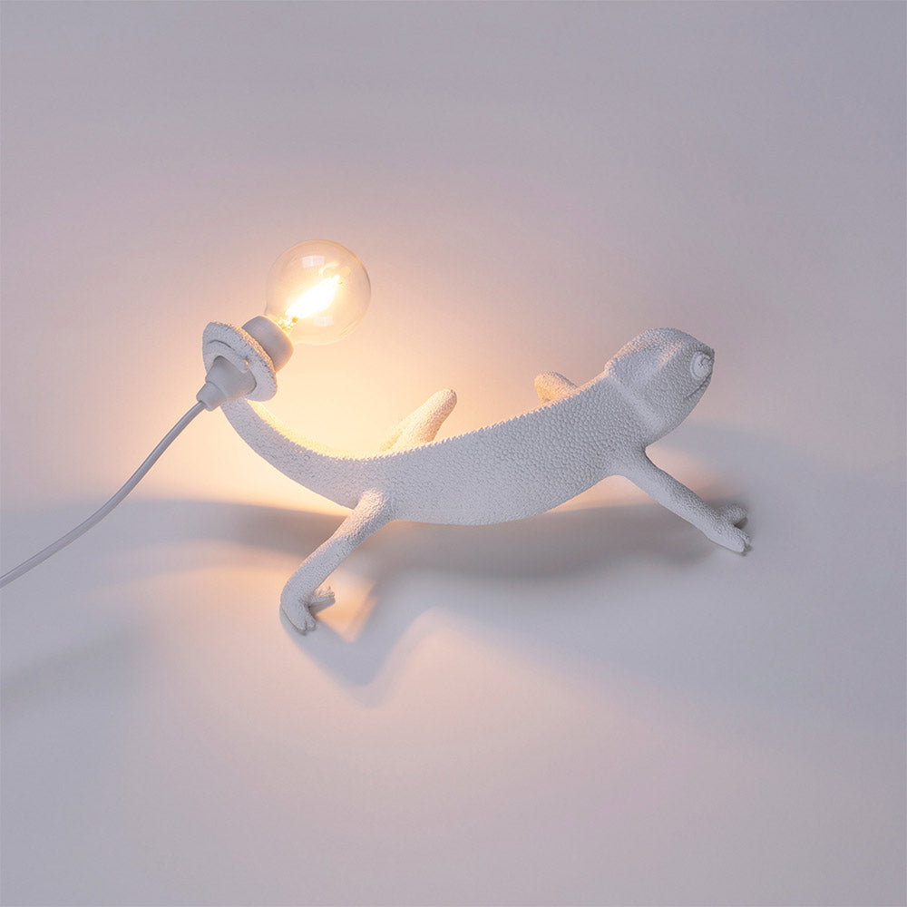 Gecko lamp goes up