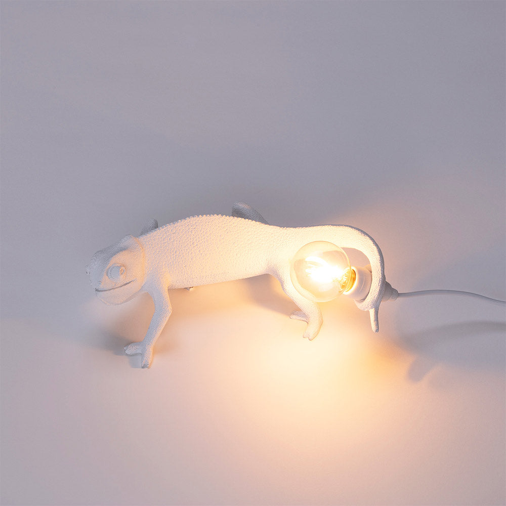Gecko lamp goes up