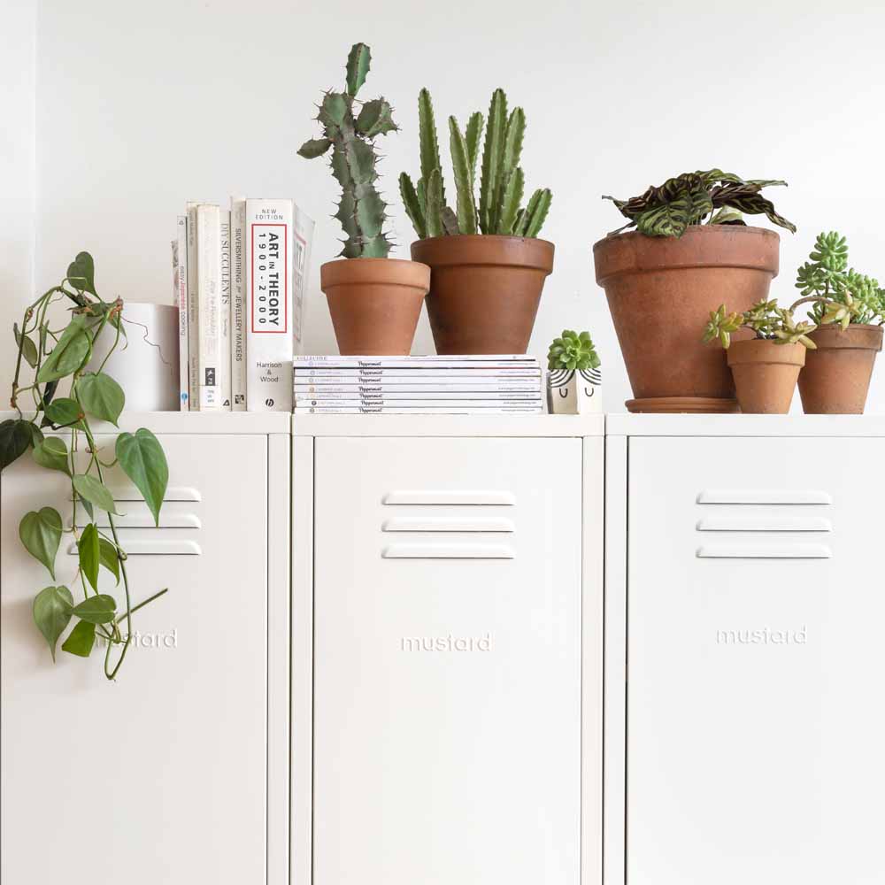 ארון Skinny לבן