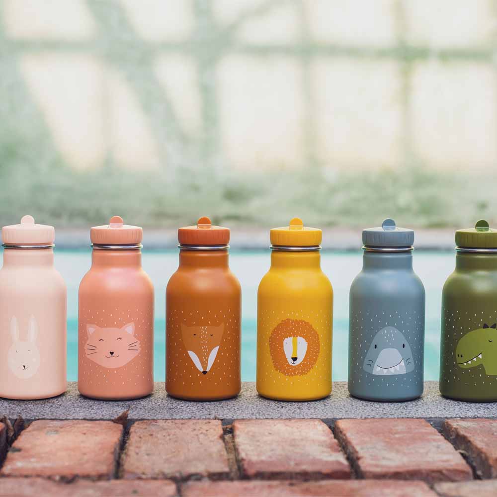 בקבוק 350 מ"ל שומר קור- אריה