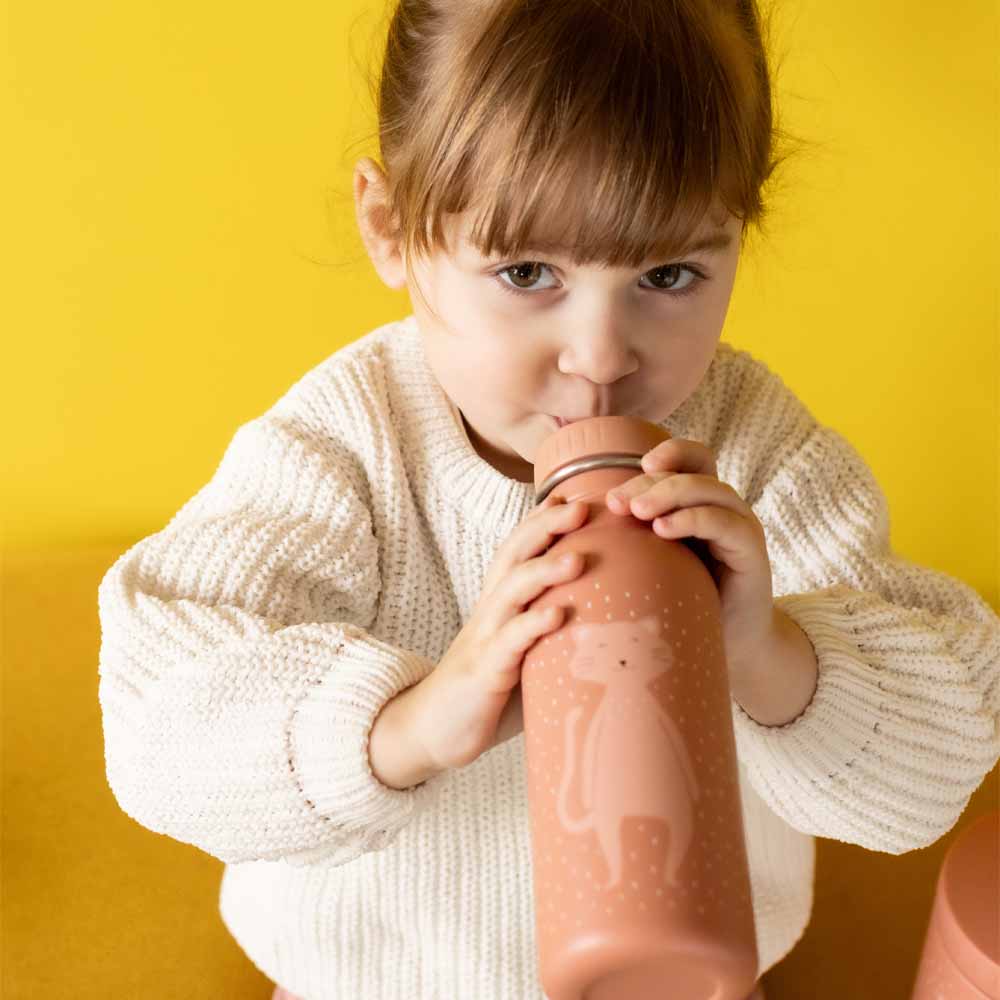 בקבוק 500 מ"ל- חתול