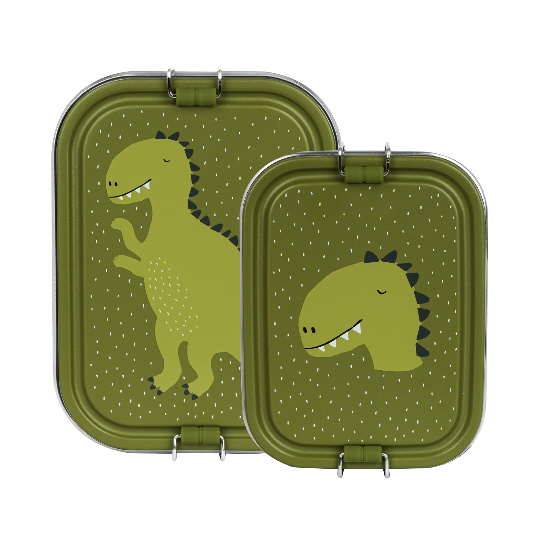 Small lunch box - dinosaur