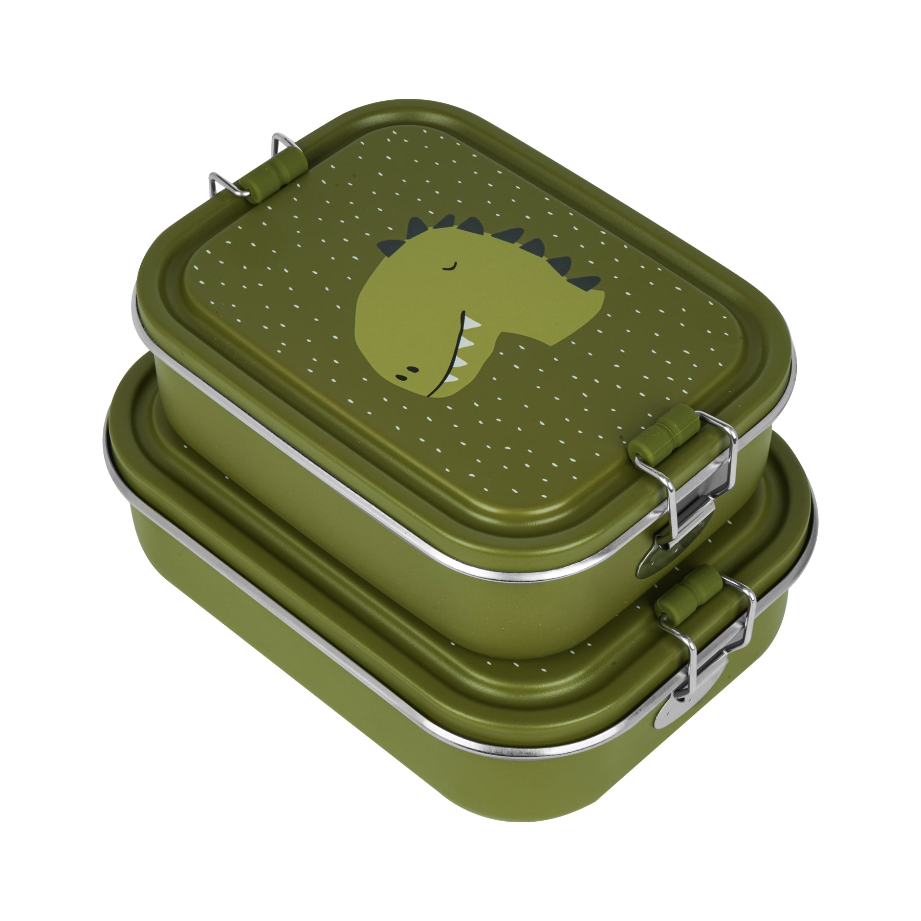 Small lunch box - dinosaur