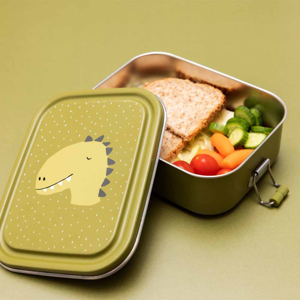 Small lunch box - dinosaur