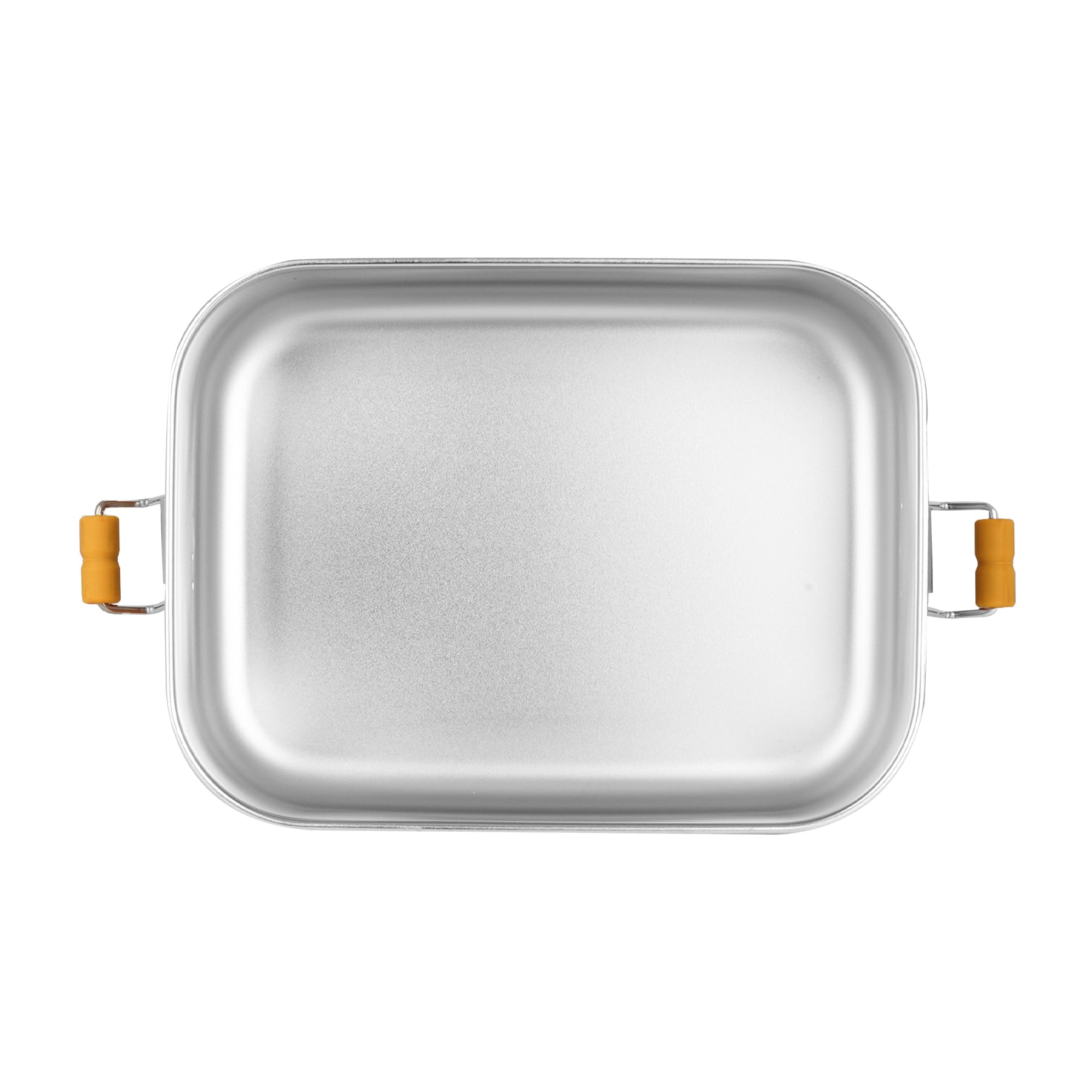 Small lunch box - dinosaur
