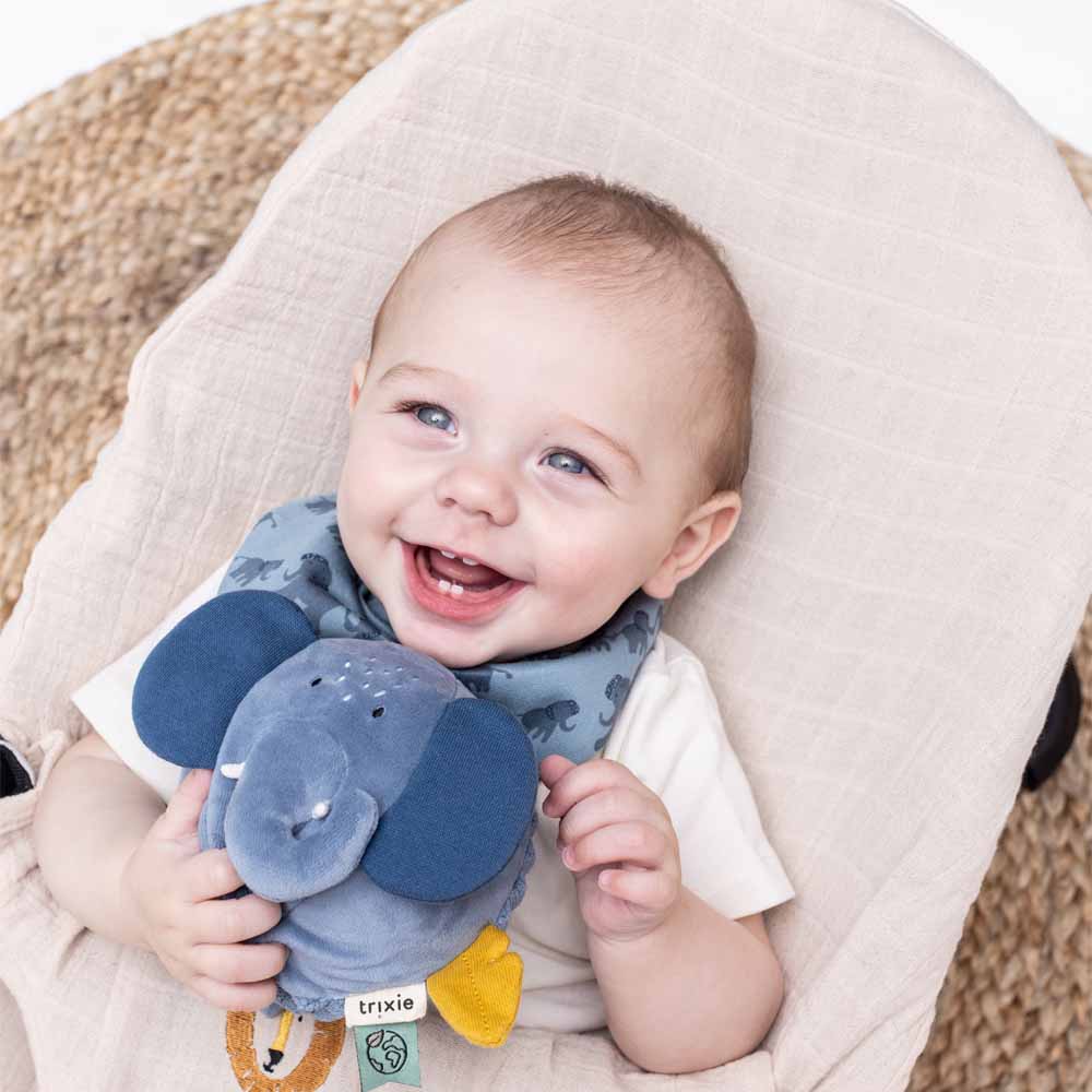 כדור צלילים רך - פיל