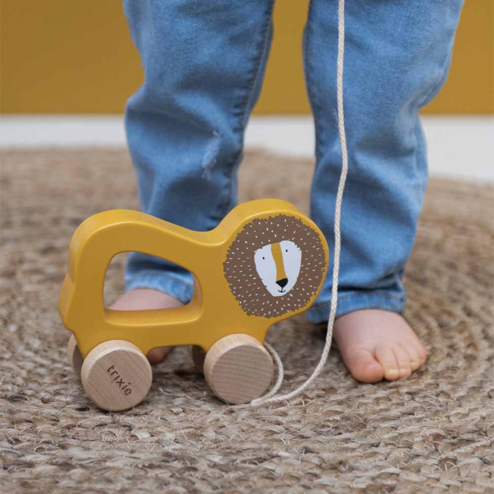 Wooden Pull-Along Toy - Lion