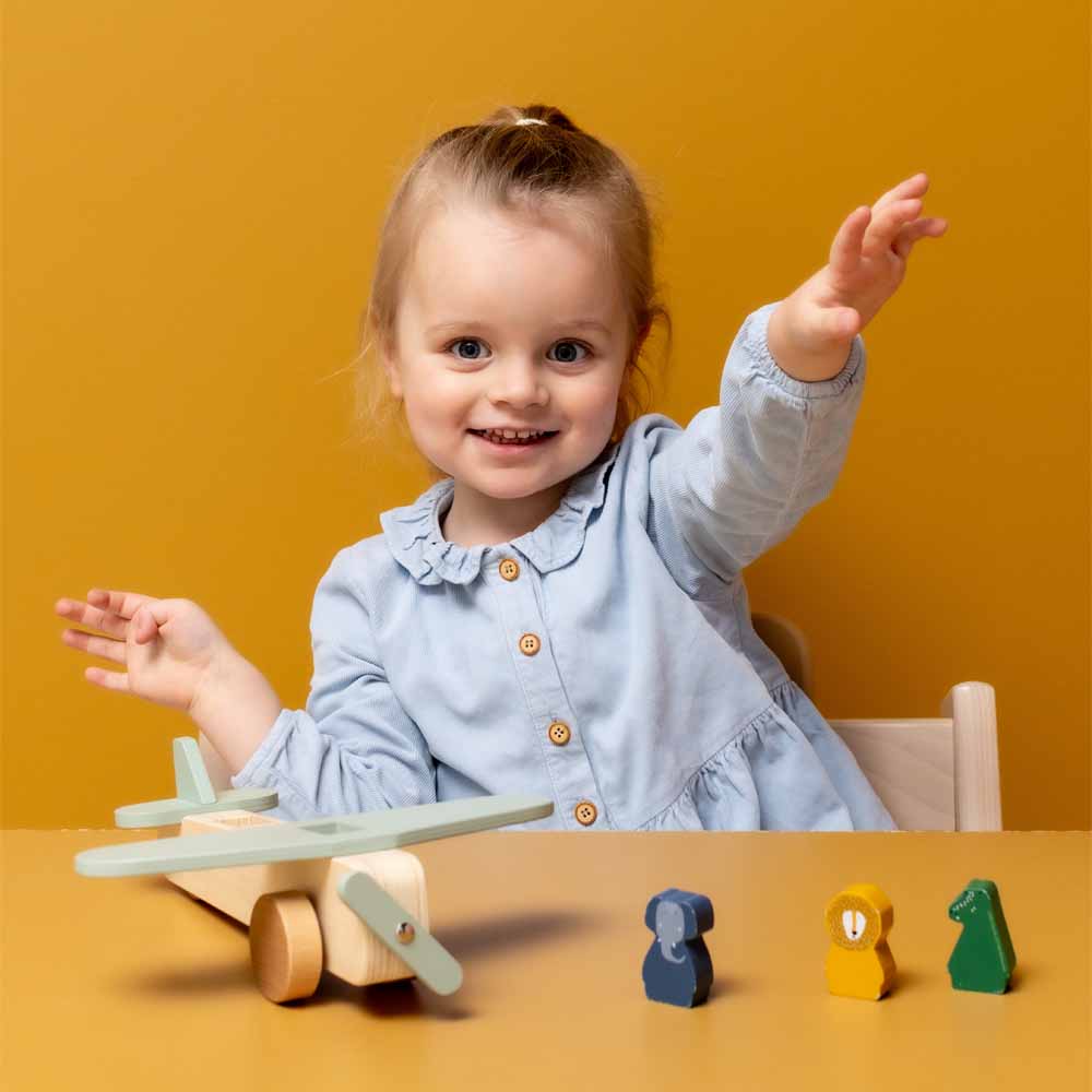 Wooden animal airplane
