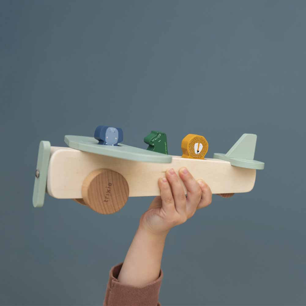 Wooden animal airplane