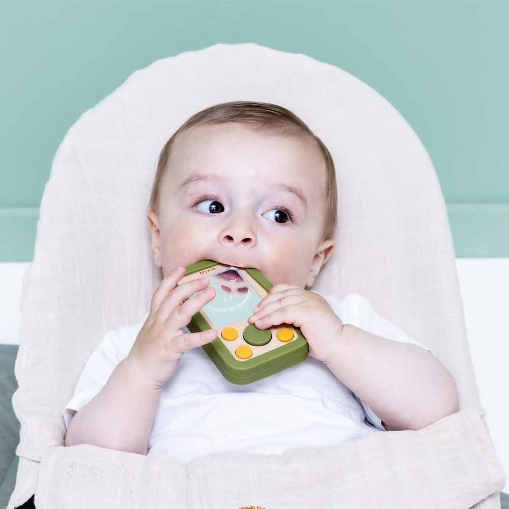 משחק טלפון עץ וסיליקון - דינוזאור