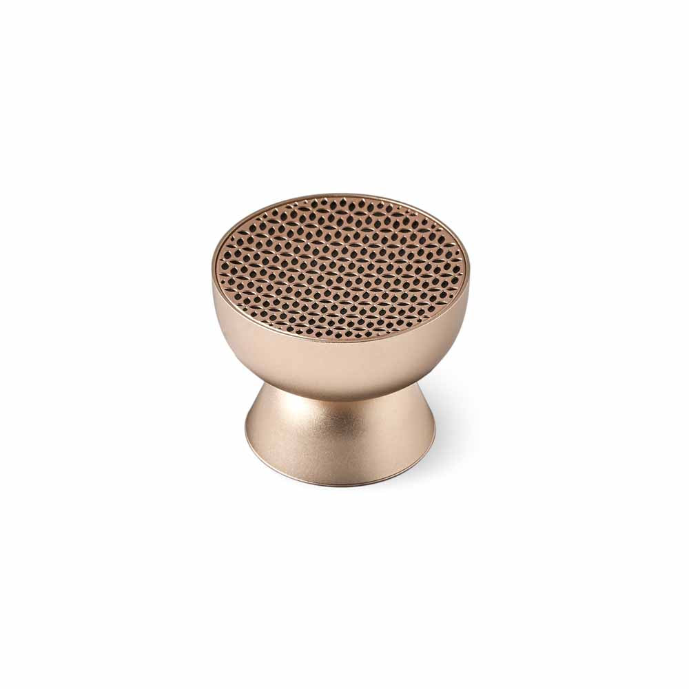 TAMO Gold Speaker