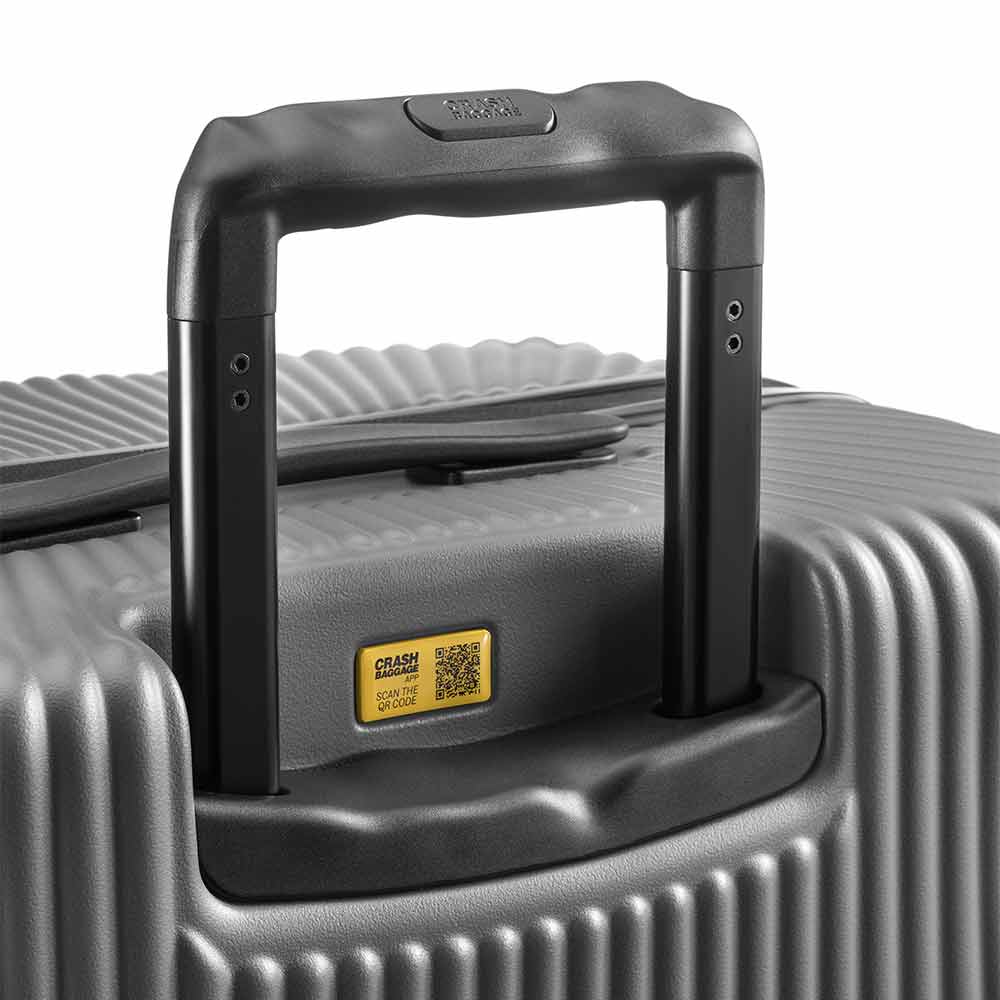 STRIPE L Suitcase Gray