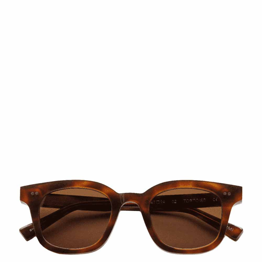 משקפיים 02 מנומר