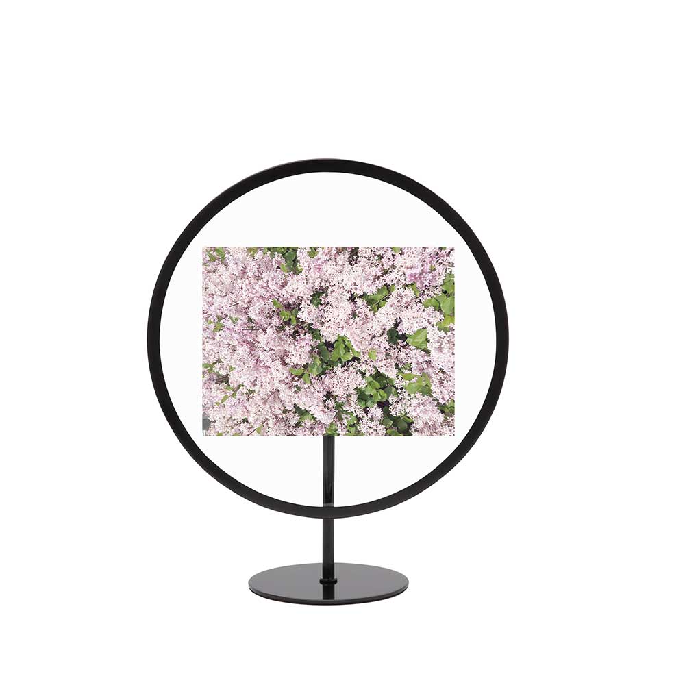 מסגרת קטנה Infinity