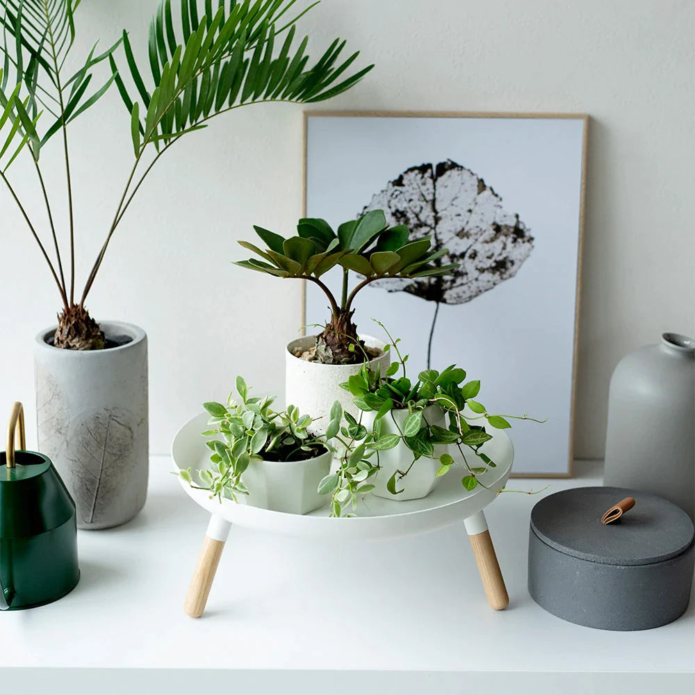 מגש לבן עם רגליי עץ