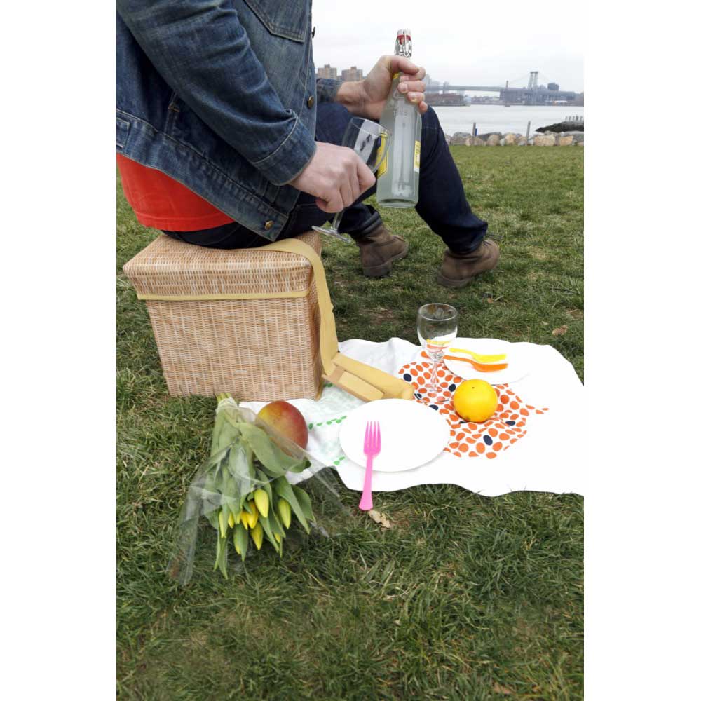 צידנית שרפרף פיקניק