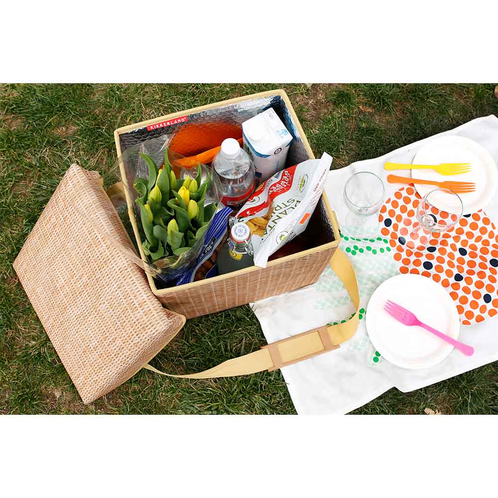 צידנית שרפרף פיקניק