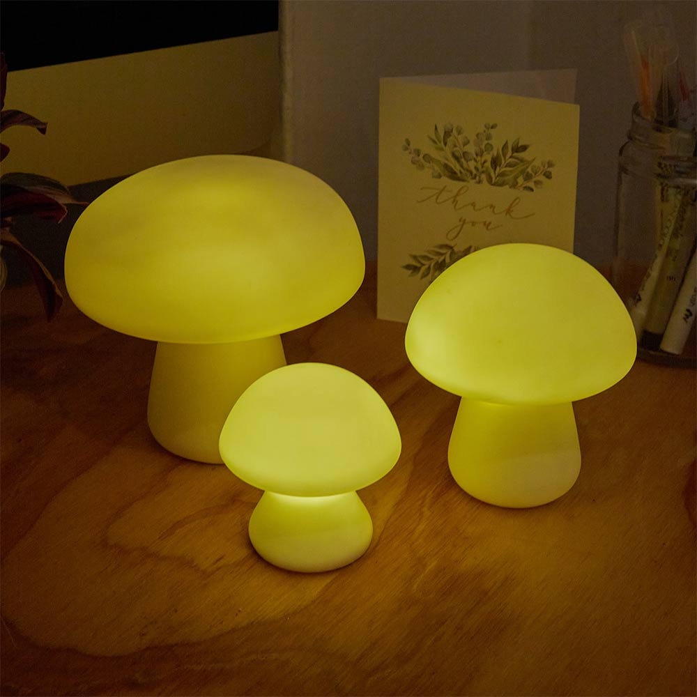 מנורת פטריה קטנה