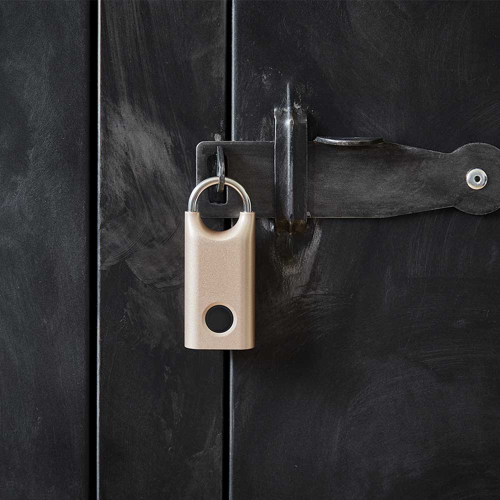 מנעול טביעת אצבע זהב בהיר