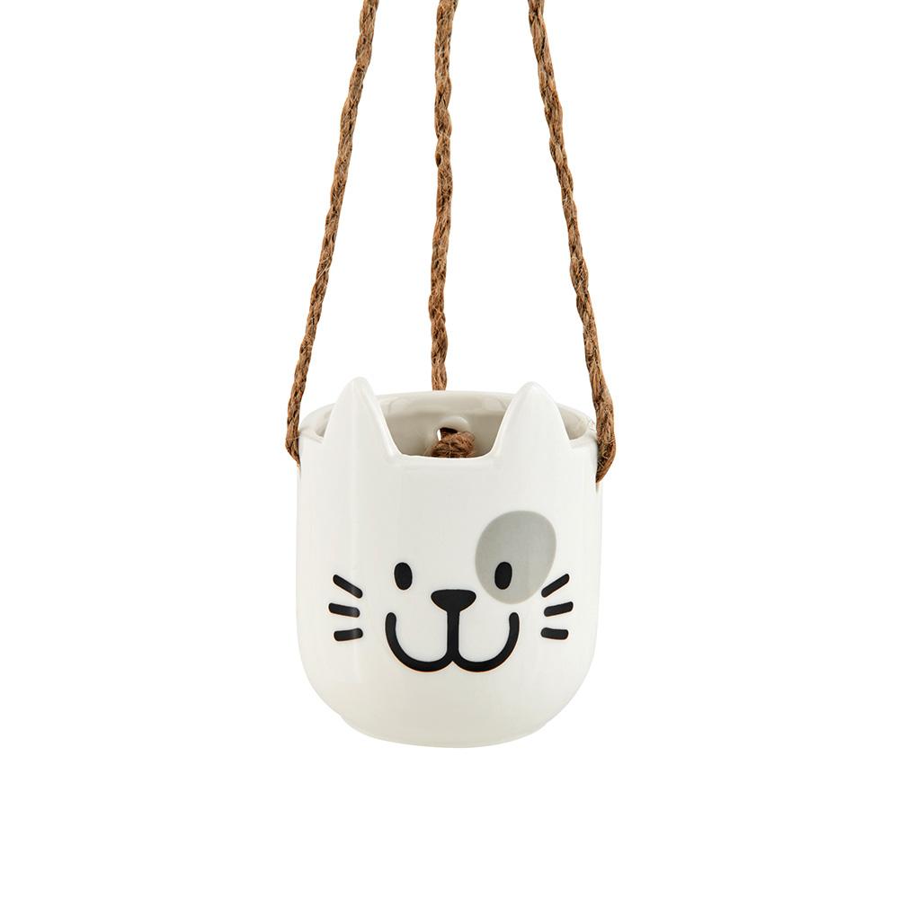 עציץ חתול נתלה עין אפורה