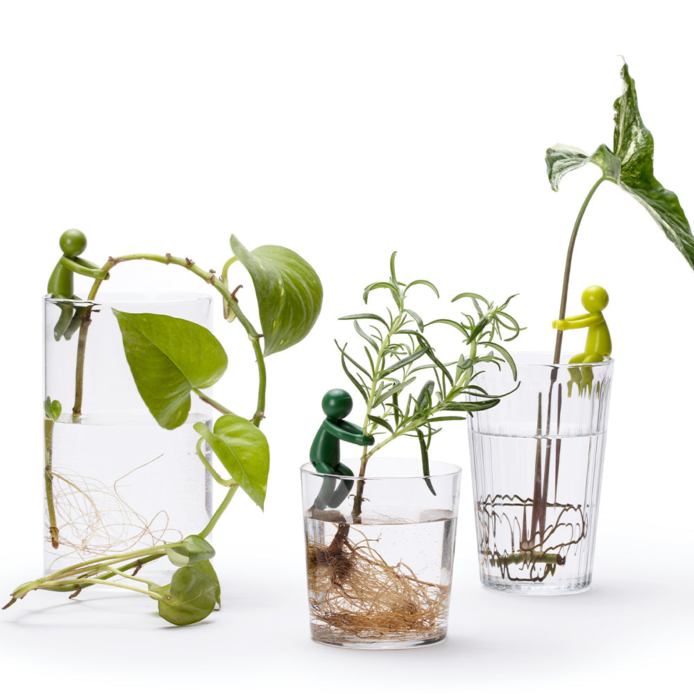 סט 3 מחזיקי צמחים Leafriend
