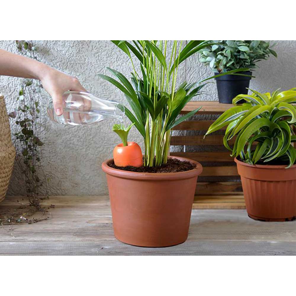 Care-it מתקן להשקייה דוגמה