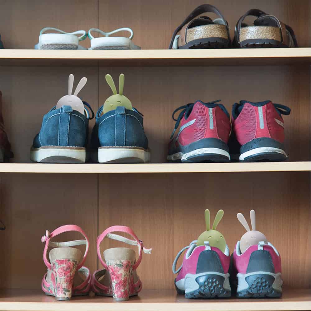 סופג ריחות ארנב sneakers peekers