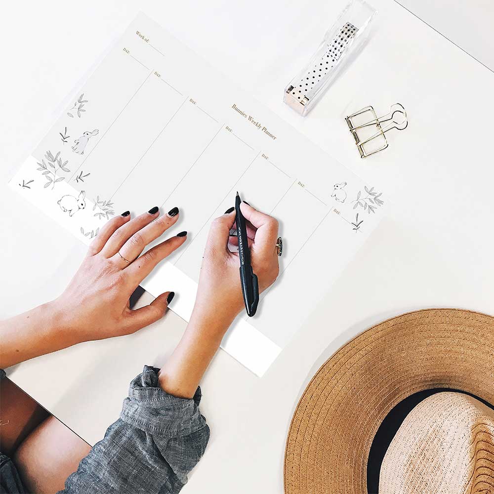 לוח תכנון שבועי לבן איורים בעיפרון