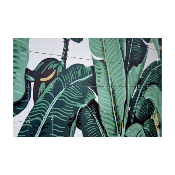 תמונה להרכבה Graphic עלה