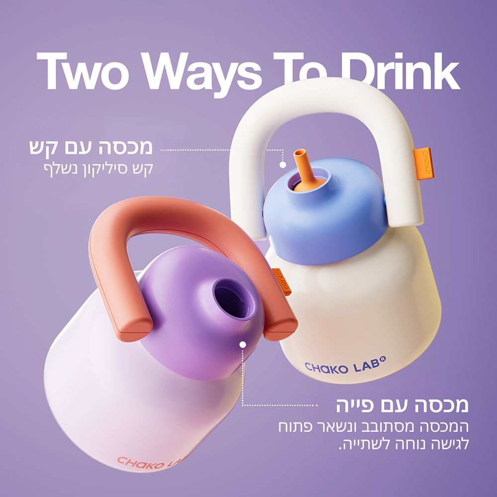 בקבוק Linlin מתכת סגול 1000 מ״ל