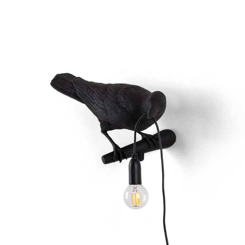מנורת ציפור שחורה מסתכלת ימינה