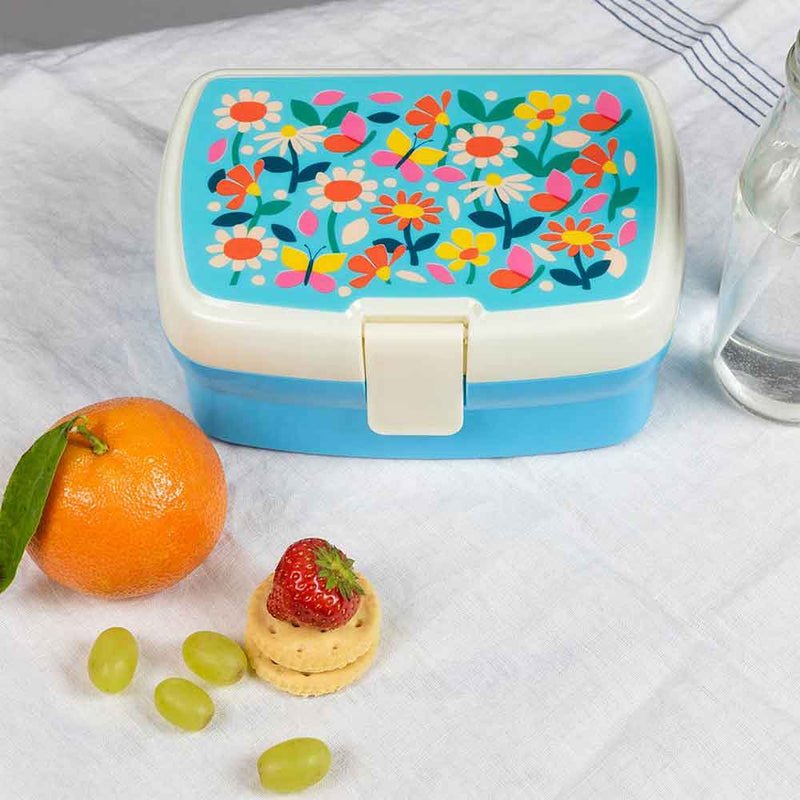 קופסת Bento פרפרים